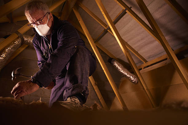 Best Geographic-Specific Insulation Services in Osceola Mills, PA